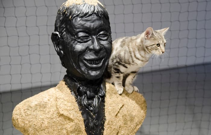 A tabby cat sits on Theo Rosenblum & Chelsea Seltzer's catnip sculpture bust.