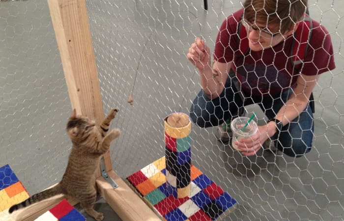 A person and cat play with a cat dancer afixed to a Joe Scanlon cat scratcher.
